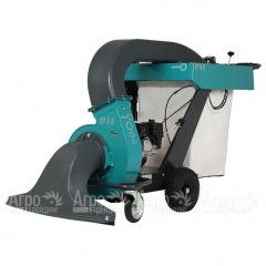 Садовый пылесос Remarc LS XP 5.0 в Иваново