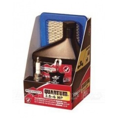 Набор для техобслуживания двигателя Briggs&Stratton Quantum 992051 7442 в Иваново
