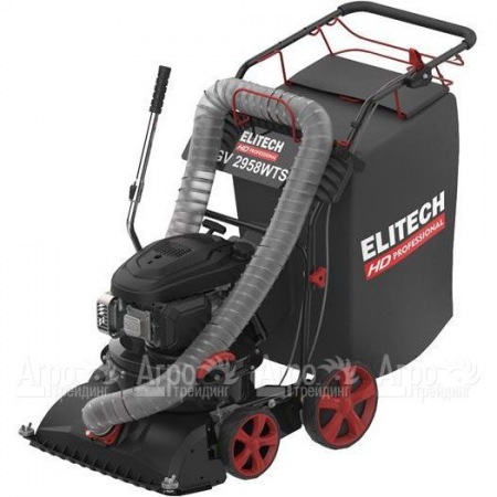 Пылесос садовый бензиновый Elitech HD GV 2958WTS (E1608.008.00) в Иваново