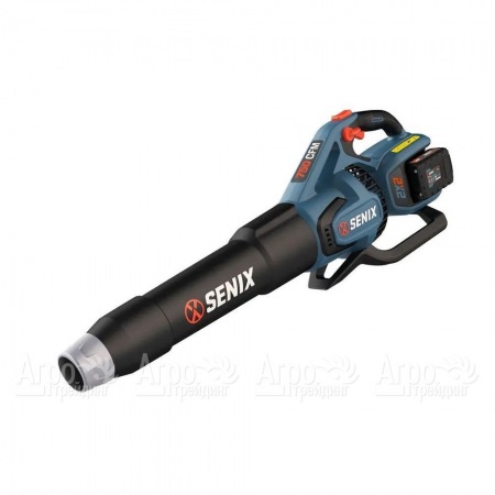 Воздуходувка аккумуляторная Senix BLAX2-M2-EU  в Иваново