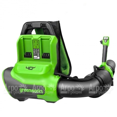 Воздуходувка аккумуляторная GreenWorks GD40BPG2  в Иваново