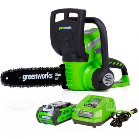 Аккумуляторная пила GreenWorks G40CS30II-12" 2 Ач в Иваново