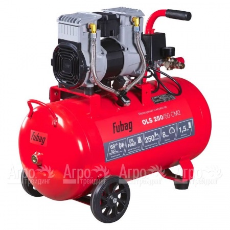 Компрессор безмасляный малошумный Fubag OLS 250/50 CM2 в Иваново