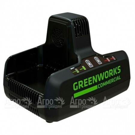 Быстрое зарядное устройство GreenWorks G82C2  в Иваново