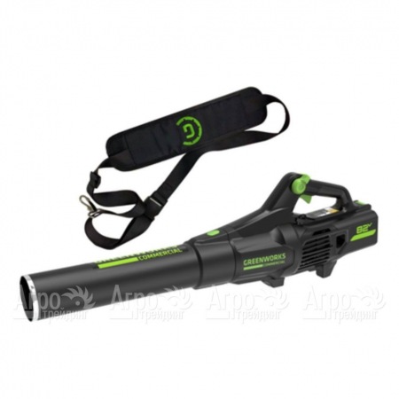 Воздуходувка аккумуляторная GreenWorks GD82ABIIK5  в Иваново