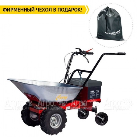 Самоходная тележка Eurosystems Carry Electric 300W-24V в Иваново