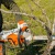 Аккумуляторная пила Stihl MSA 220 C-BQ-14" (без аккумулятора и зарядного устройства) в Иваново