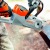 Аккумуляторная пила Stihl MSA 140 C-BQ-12 в Иваново