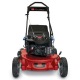 Газонокосилка бензиновая Toro 20092C в Иваново