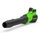 Воздуходувка аккумуляторная GreenWorks GD40BG3 4 Ач в Иваново